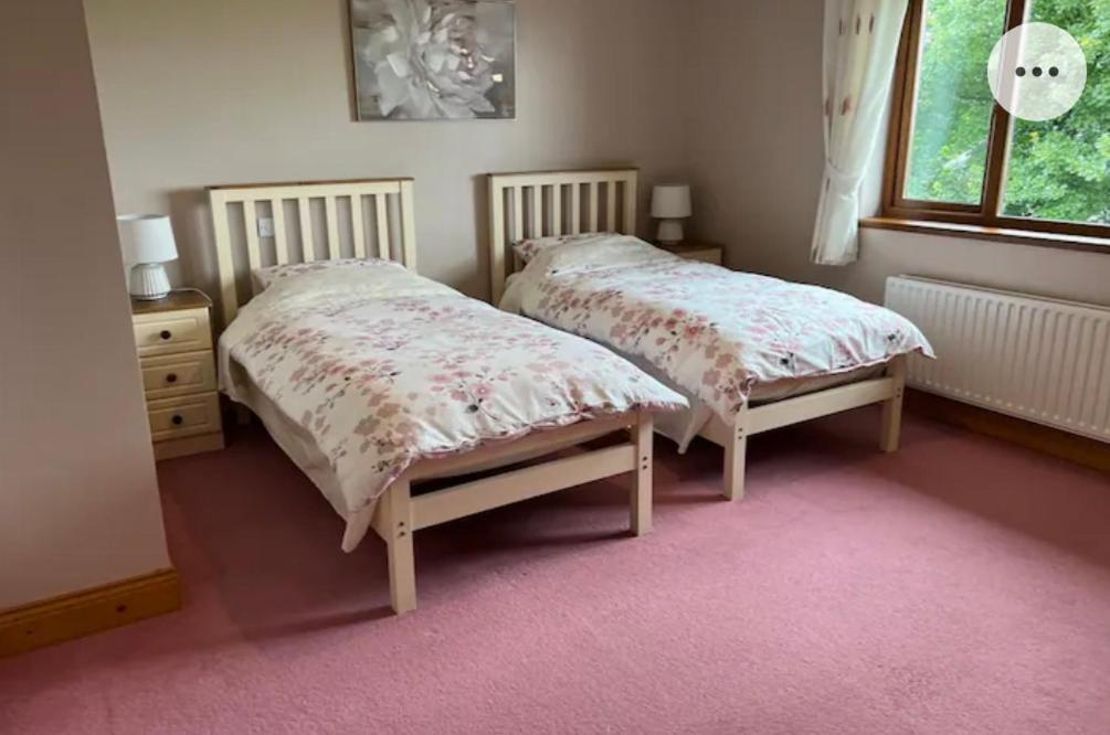 Country Hideaway Apartment Croagh Екстериор снимка