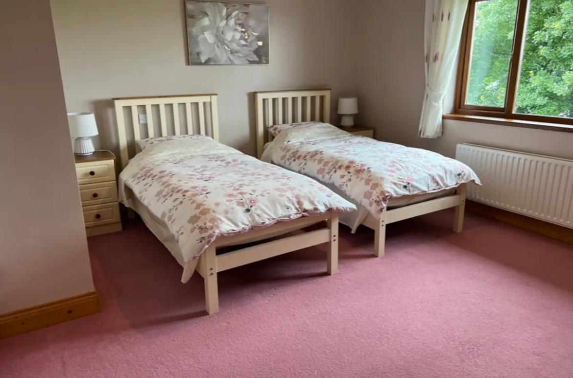 Country Hideaway Apartment Croagh Екстериор снимка